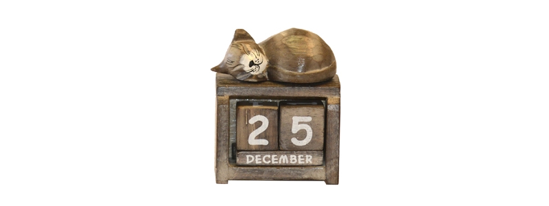 owl calendar £3.99