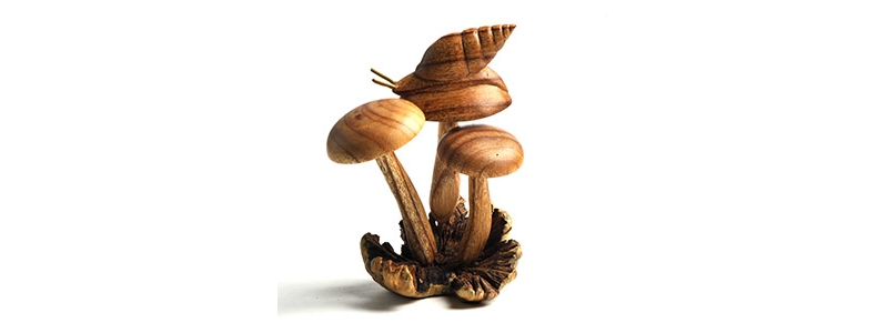 wooden snail on mushrooms £16.99