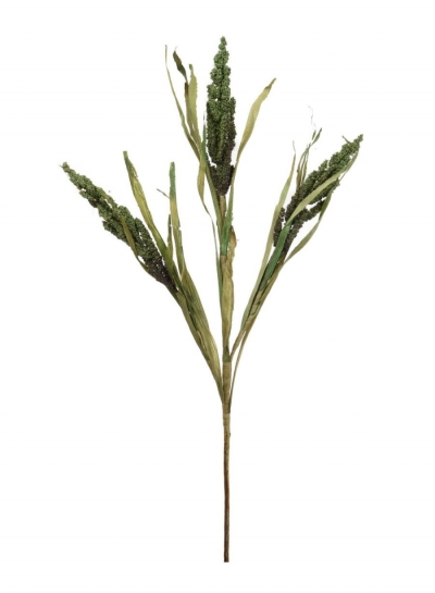 green dried reed wheat spray £3.99