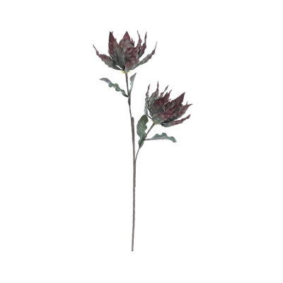green and burgundy double stem flower