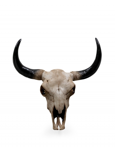 large wall hanging bison skull £69
