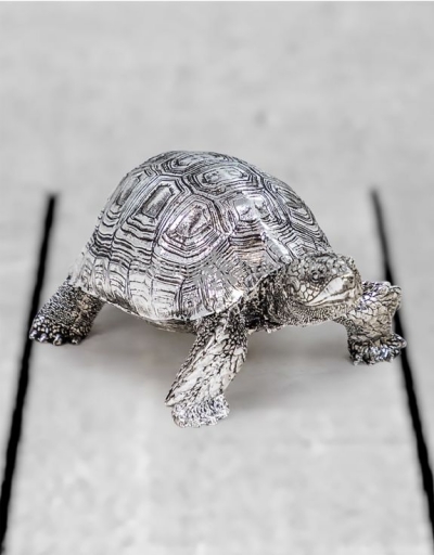 silver tortoise