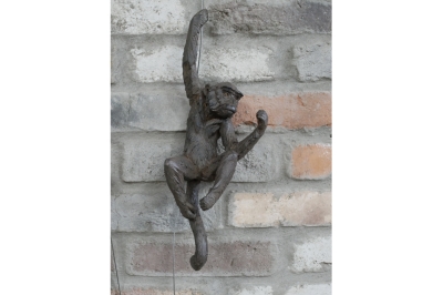 hanging monkey £19.99