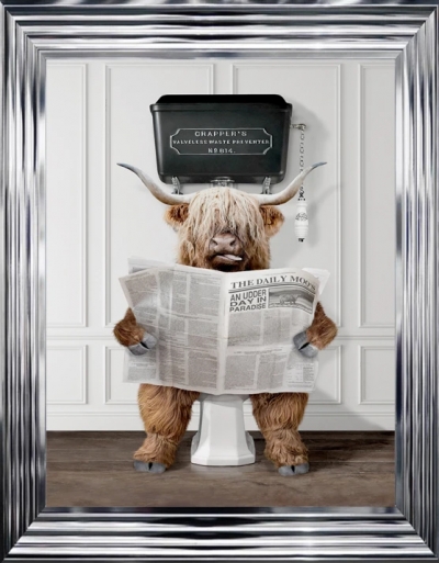 reading the news highland cow £129