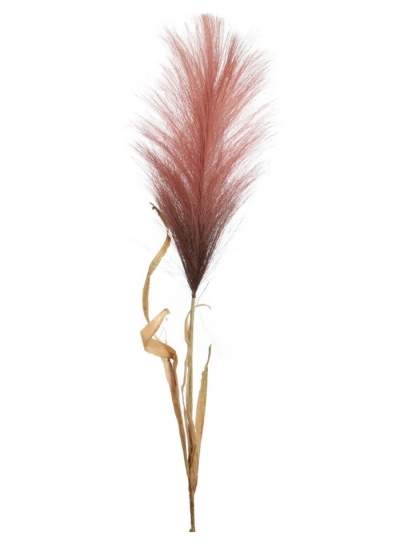 pampas stem in rouge £2.99