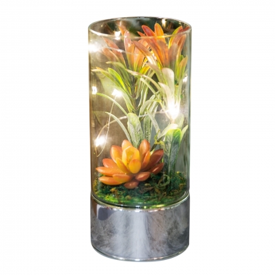terrarium  glass tube light