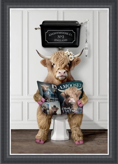 lady highland cow reading the news £129